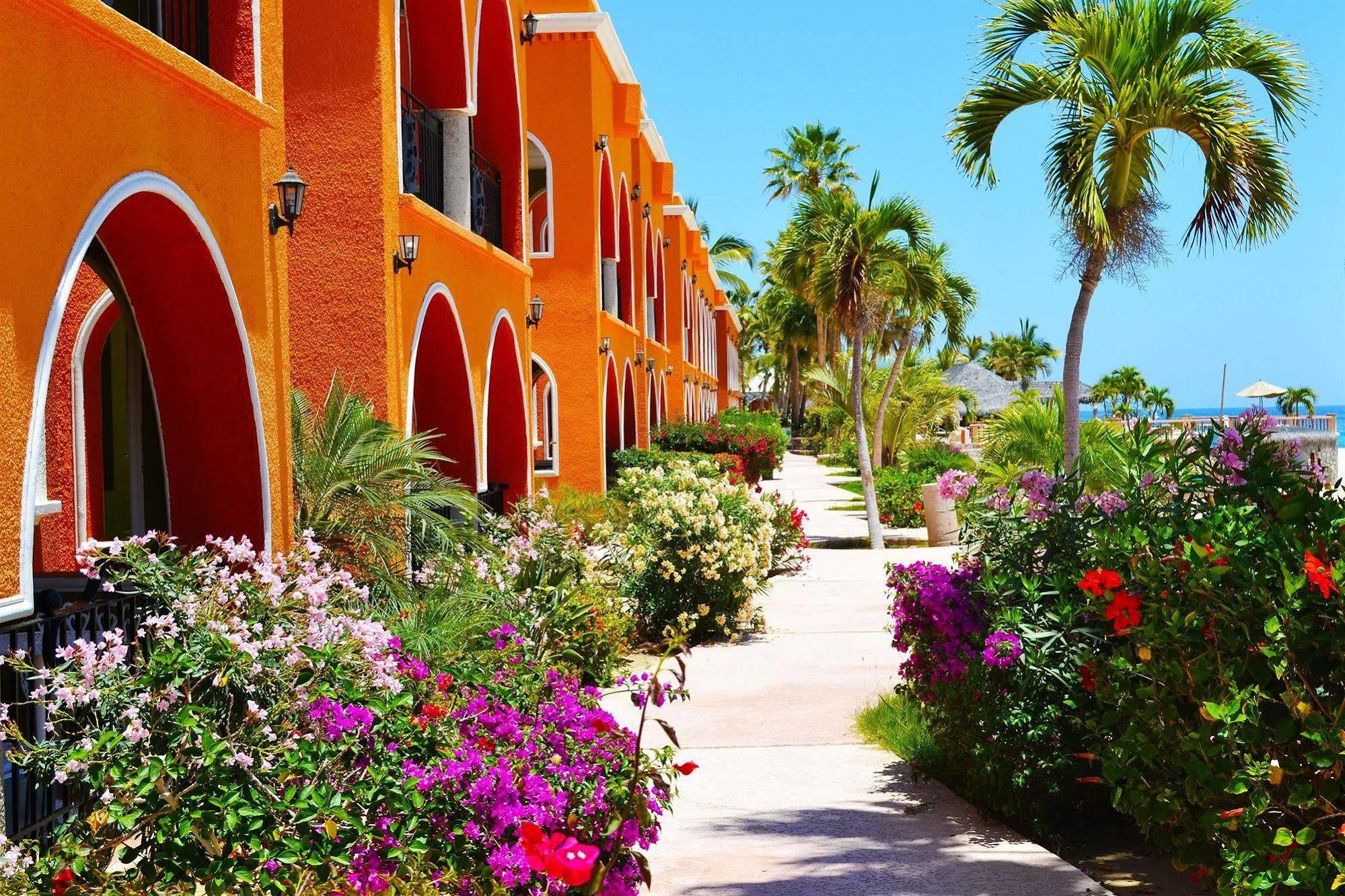 Hotel Palmas De Cortez Los Barriles Bagian luar foto